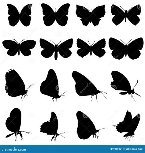 美丽的蝴蝶图标图片免费下载_PNG素材_编号vj9ir0l7r_图精灵