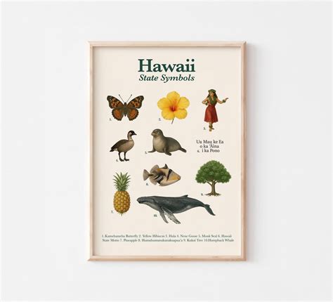 Modroom Hawaii State Symbols Poster | Educational | State Animal, Bird ...
