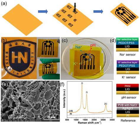 Laser-Induced Graphene-Based Wearable Epidermal Ion-Selective Sensors ...