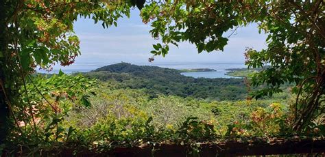 ROATAN LIFE IN THE BAY (2026) All You Need to Know BEFORE You Go (w ...