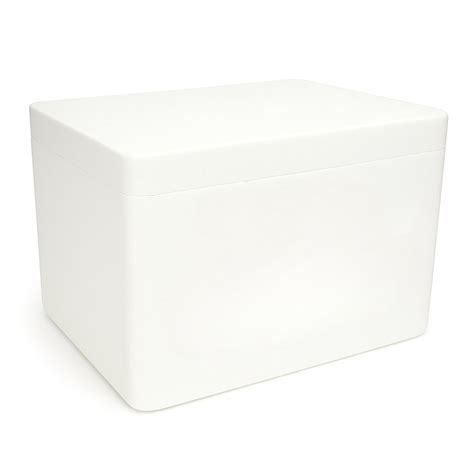 EKOOL Thermocol Blood Cold Box for Medical Use – Blood, Plasma ...