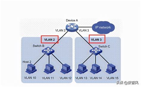 Virtual Local Area Network - VLAN (רשת תקשורת מקומית וירטואלית)