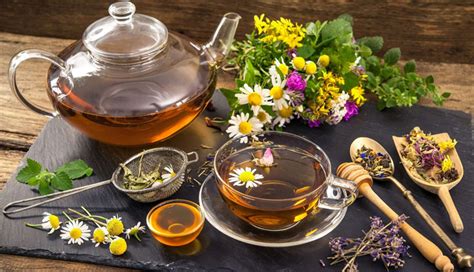 5 Healthy Herbal Teas You Must Try - lifeberrys.com