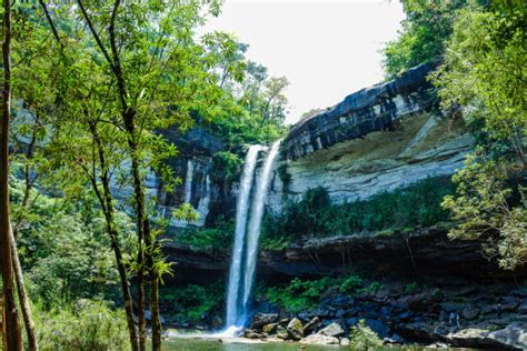 Image result for Amazing Study Tips