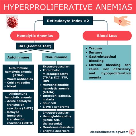Causes and Classification of Anemias - Classical hematology