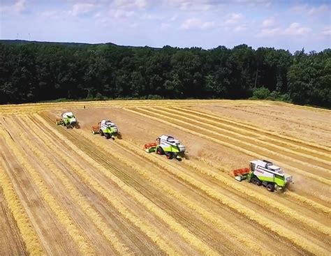 Tucano und Lexion: Getreideernte mit 4 Claas Mähdreschern | agrarheute.com