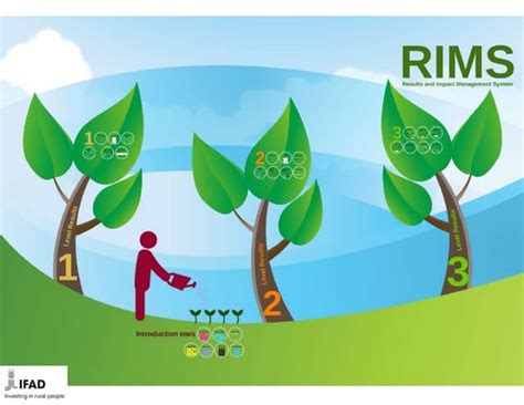 Image result for Rims Appraisal Process