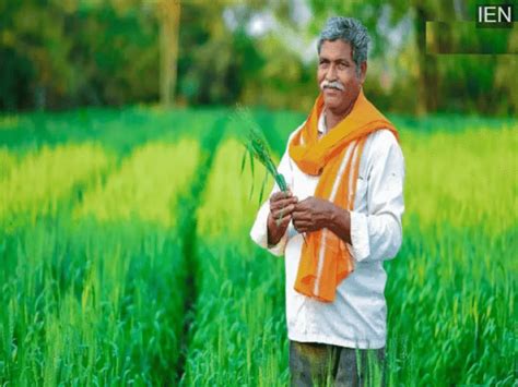These tasks are essential before the next installment of PM Kisan ...