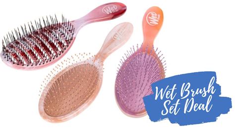 Wet Brush 3-Piece Detangler Hair Brush Set for $14.99 Shipped ...