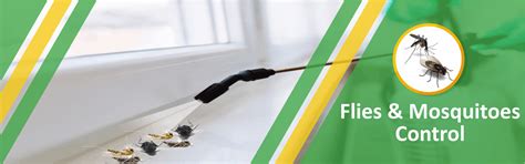 Fly and Mosquito - Pest Control Services