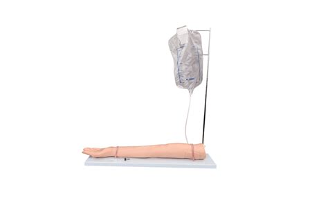 Image result for IV Training Arm Model