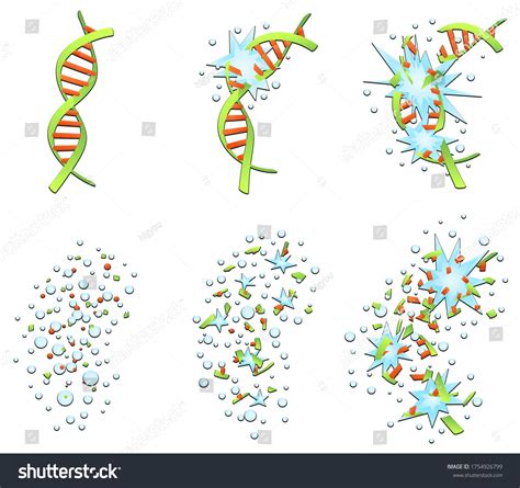 DNA Isolation Animation 的图像结果