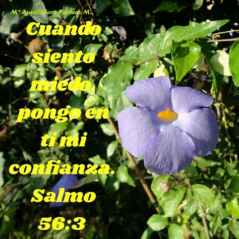 Salmo 56:3