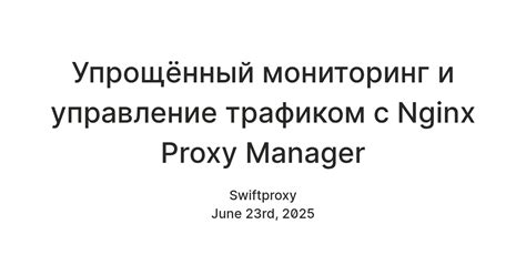 Упрощённый мониторинг и управление трафиком с Nginx Proxy Manager ...