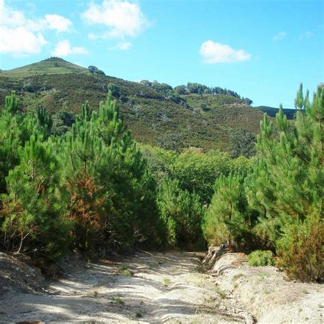 TAPADA NACIONAL DE MAFRA (2025) All You Need to Know BEFORE You Go ...