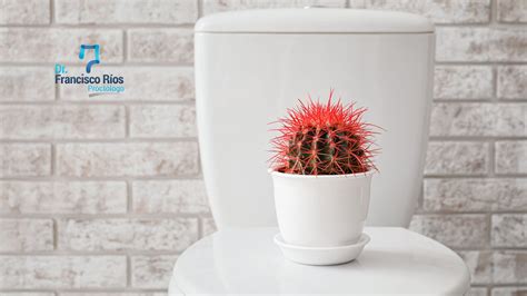 ¿Qué hacer cuando hay picazón en el recto? | Dr. Francisco Ríos