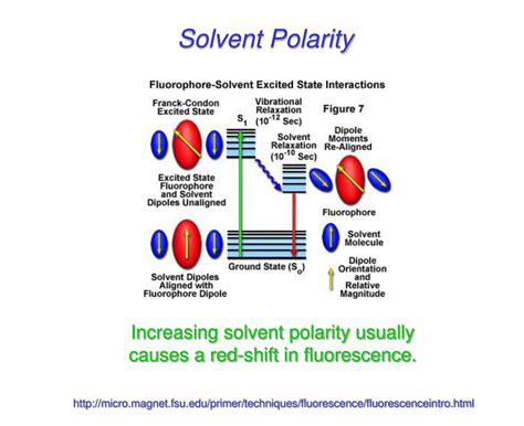 Solvent Effects 的图像结果