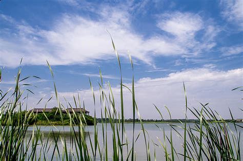 水天一线,沼泽湿地,自然风景,摄影素材,汇图网www.huitu.com