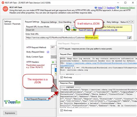 SSIS JSON Primitive Error 的图像结果