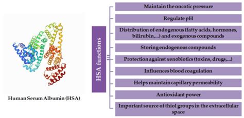 Enantioresolution and Binding Affinity Studies on Human Serum Albumin ...