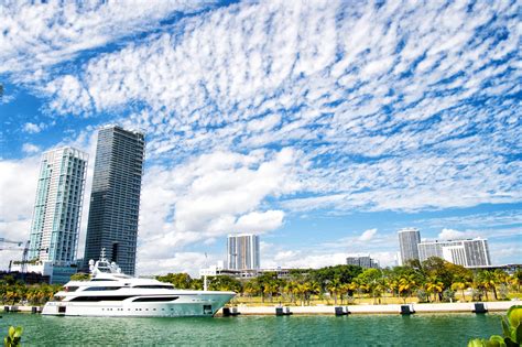 Essential Guide to Miami Cruise Port and Terminals for 2024/25 |Safe ...