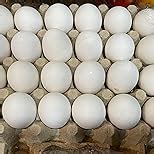 Henfruit Farm White Eggs, All Life Stages, Bird, 30 Pieces : Amazon.in ...
