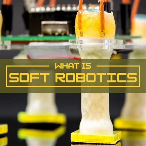 Soft Robot Machine Learning 的图像结果
