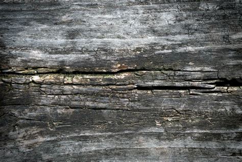 Image result for Examples of Sort