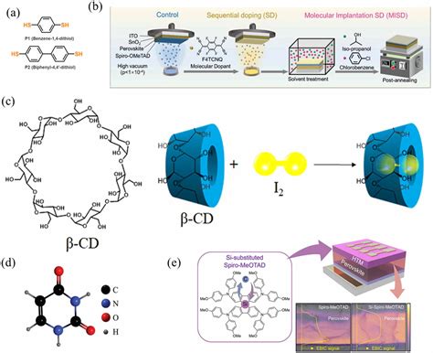 Annual research review of perovskite solar cells in 2023
