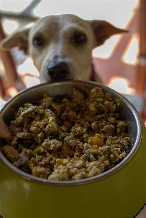 Can Dogs Eat Uncooked Pork Bones
