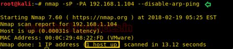 Nmap for Pentester: Ping Scan