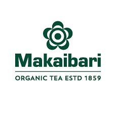 Best Web Development & Digital Marketing Agency in Kolkata | Design ...