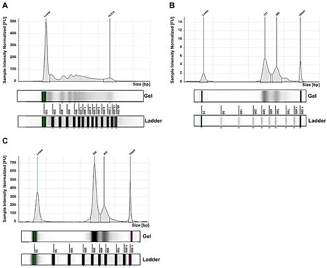Exosomes from Plasma of Neuroblastoma Patients Contain Doublestranded ...