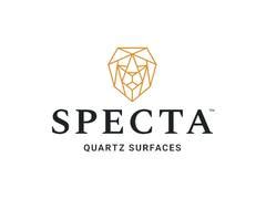 Padma Shri Sudarsan Pattnaik joins Specta and CRY's 'Colouring Dreams ...