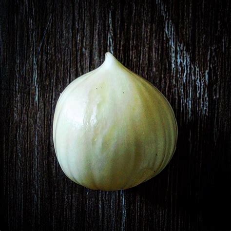 Cloveless Garlic Seeds [Interesting Facts About The Solo Garlic]