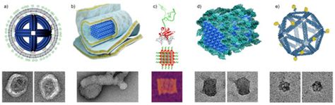 Nanomaterials | Special Issue : DNA-Based Nanostructures: Emerging ...