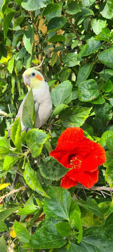 POUSADA RELÍQUIAS DO MAR (Arraial do Cabo) - Inn Reviews, Photos, Rate ...
