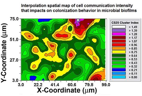 CMEIAS-Aided Microscopy of the Spatial Ecology of Individual Bacterial ...