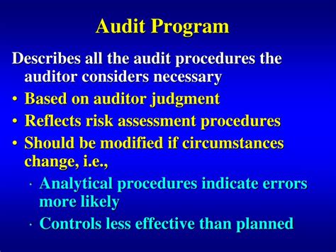 Audit Program 的图像结果