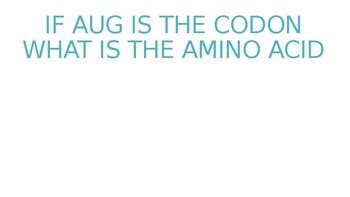 Image result for Codon Chart Practice