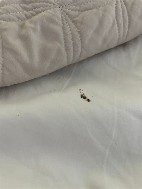 THREE RIVERS INN (Sedro Woolley) - Inn Reviews, Photos, Rate Comparison ...