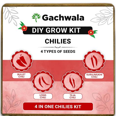 DIY 4 In 1 Gardening Kit | Grow Your Own Kit | 4 Growing pot and ...