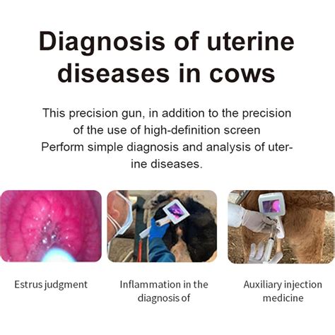 XRFCY Artificial Insemination AI, Cow/Horse Visual India | Ubuy