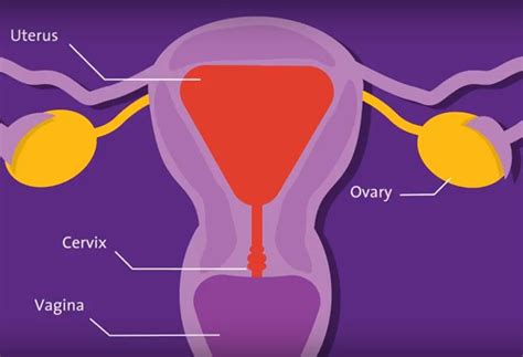 Gynecology - Lenox Hill Hospital | Northwell Health