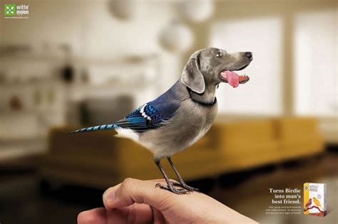 超全超萌的动物平面广告案例-欣赏-创意在线