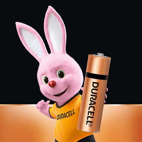 DURACELL Alkaline AA, Everyday Devices, Clock, Toy, Remote Battery ...