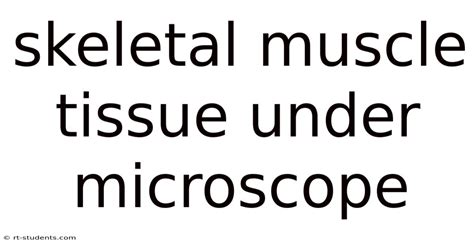 Image result for Skeletal Muscle Tissue Under Microscope