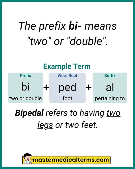 Prefix Bi Prefixes And Suffixes | PDF