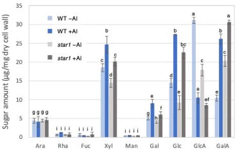 OsXTH19 Overexpression Improves Aluminum Tolerance via Xyloglucan ...