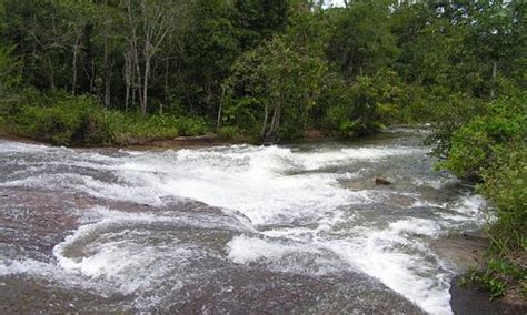 Puerto Ayacucho Tourism (2023): Best of Puerto Ayacucho, Venezuela ...